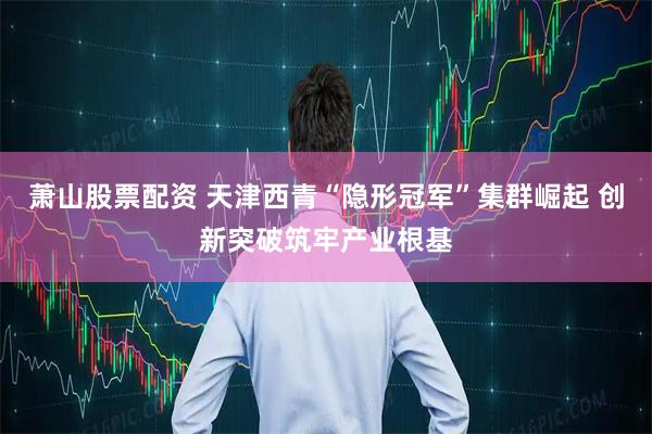 萧山股票配资 天津西青“隐形冠军”集群崛起 创新突破筑牢产业根基